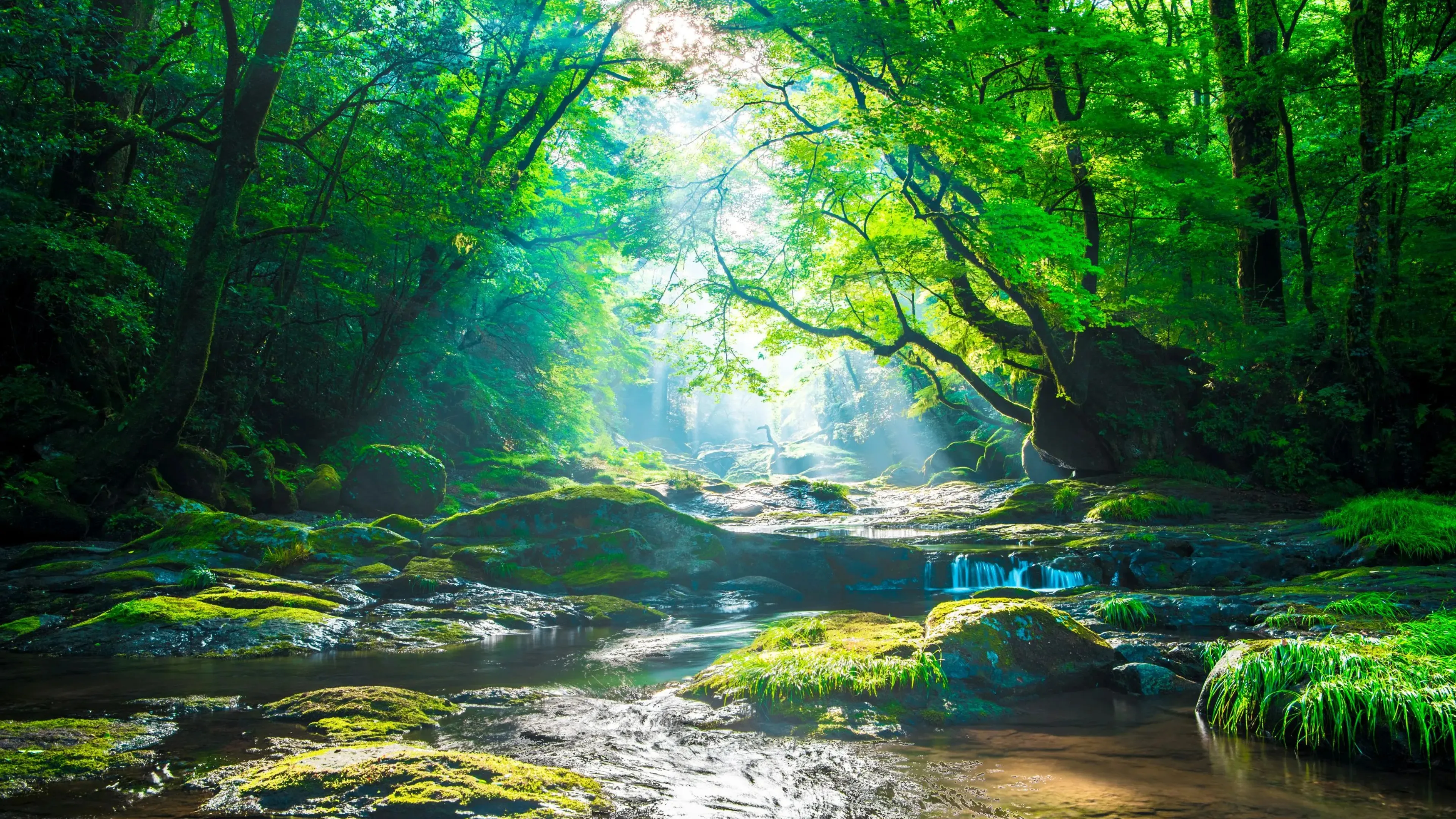 メインビジュアル 2