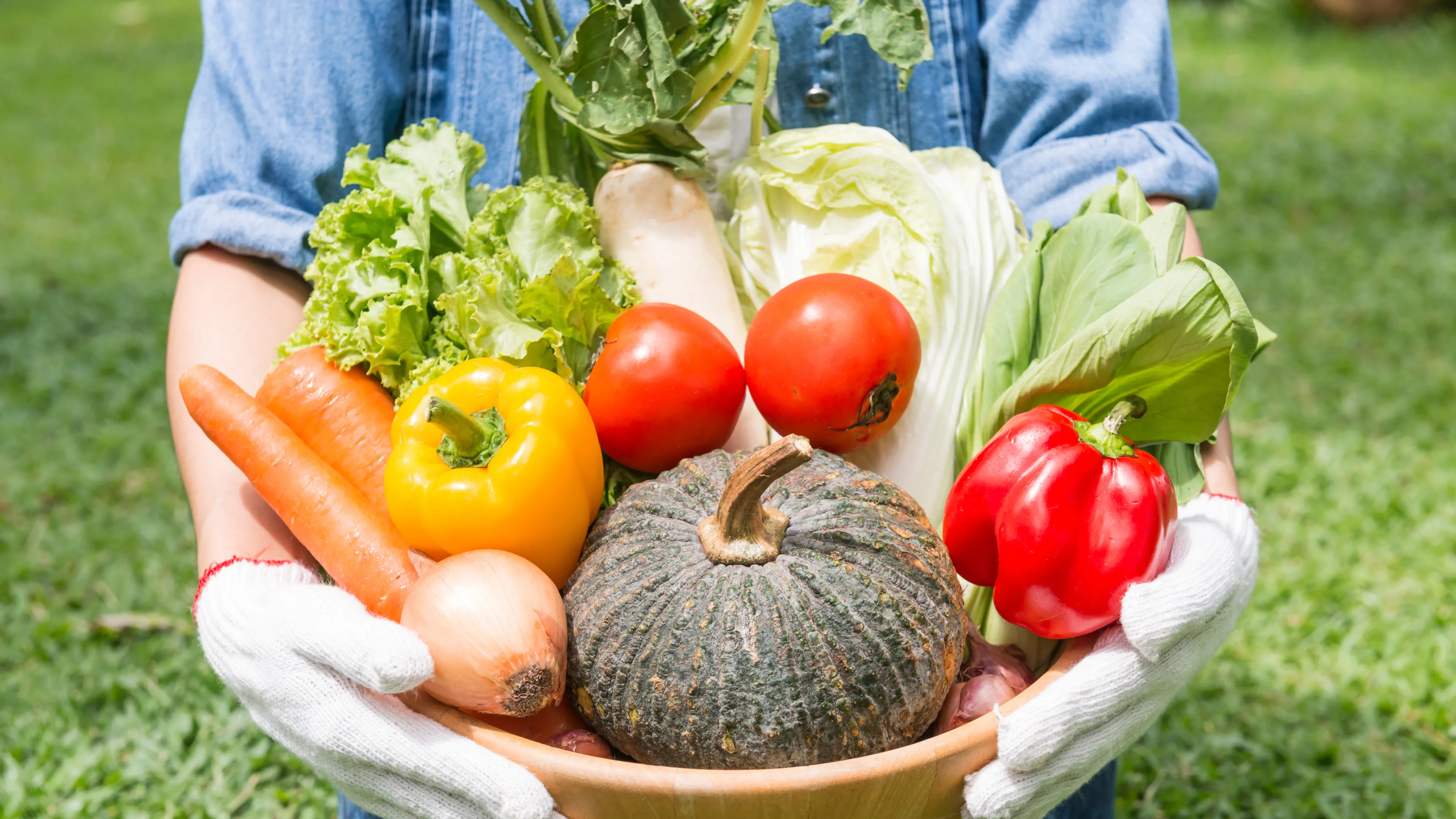 メインビジュアル 4